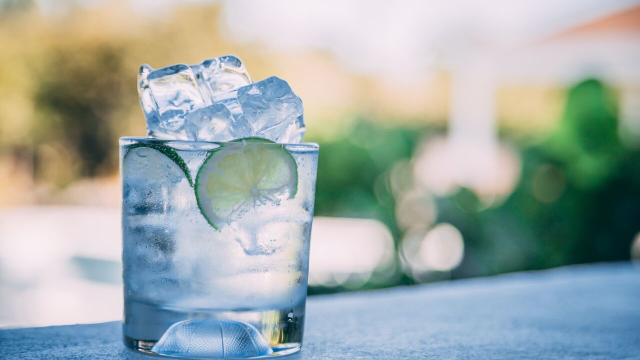 gin tonic recept