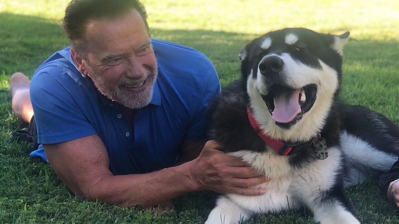 Arnold Schwarzenegger