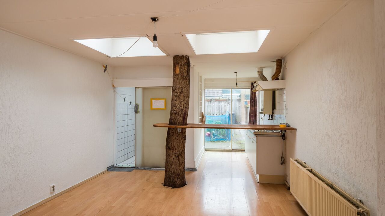 huis met boom