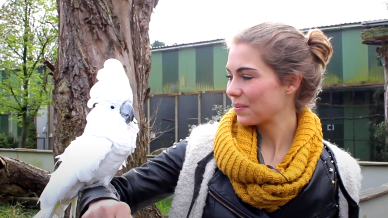 zoo veldhoven dierentuin
