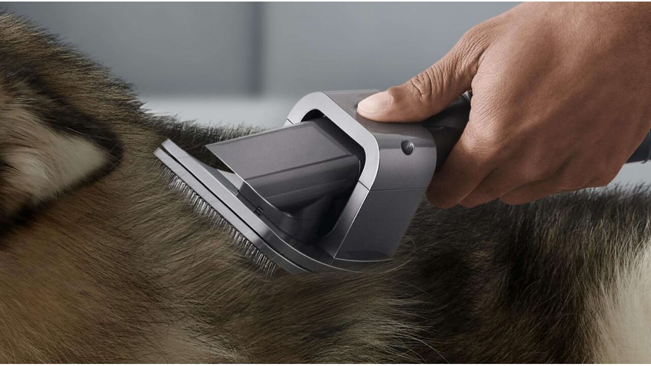 Illustratie voor: Dankzij deze gadget loopt jouw trouwe viervoeter er beter bij dan ooit