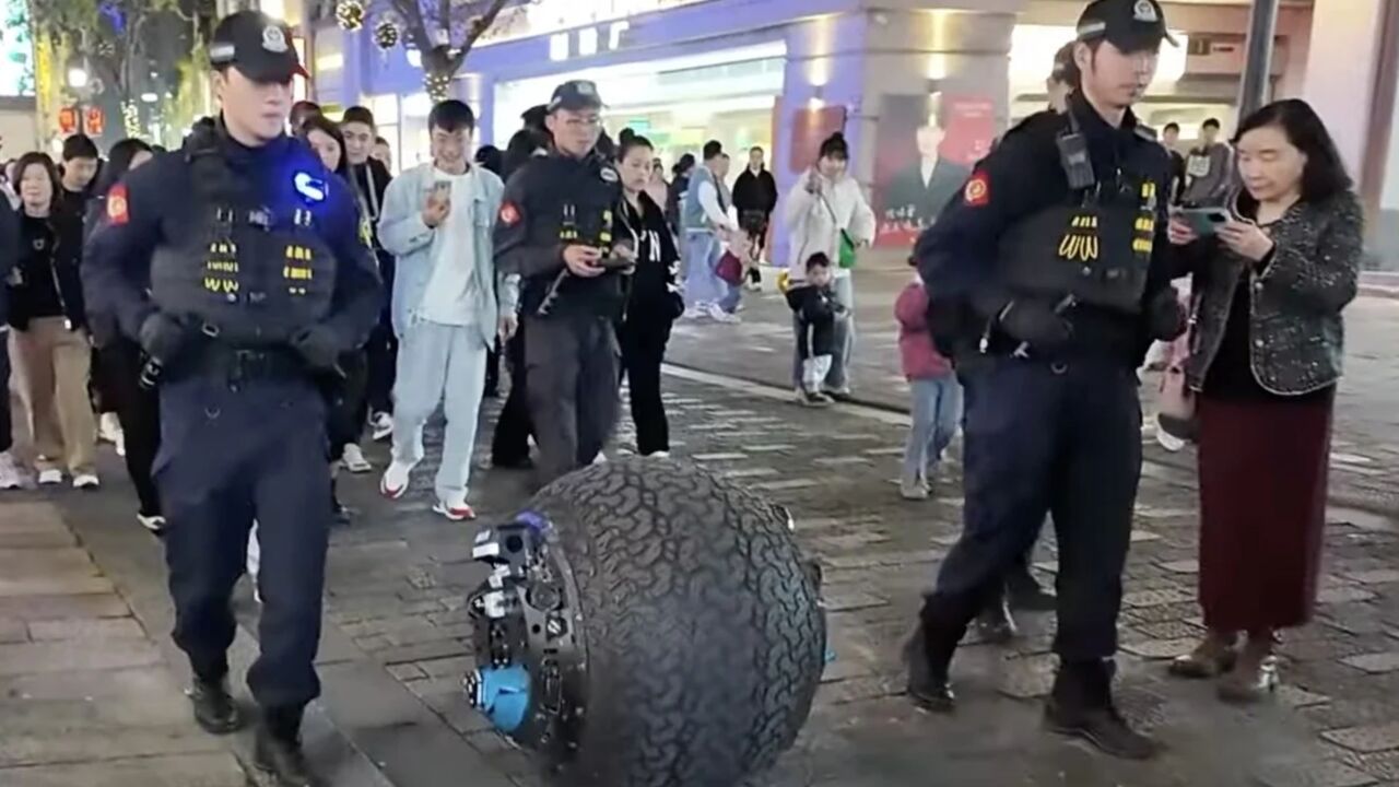Robot politiebal