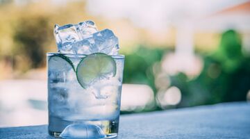 gin tonic recept