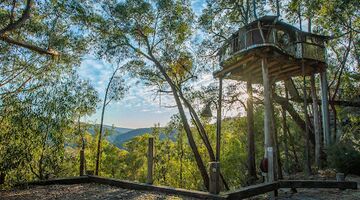 Boomhut overnachting