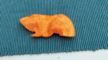 cavia-chips marktplaats