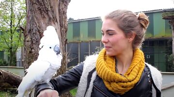 zoo veldhoven dierentuin