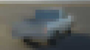 Ford F-100 Eluminator