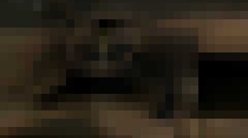 Zo hard gaat deze getunede Ferrari Testarossa