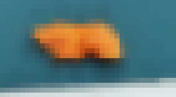 cavia-chips marktplaats