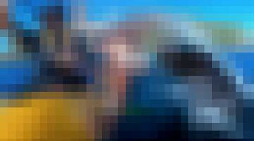 Zeerob Nieuw Zeeland Taiyo 'T' Masuda