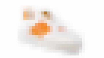 wesley sneijder sneakers