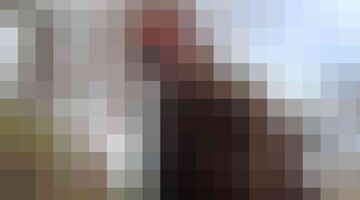 arnold schwarzenegger reparatie