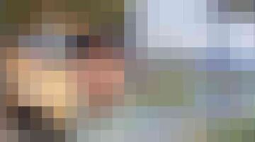 dutch performante lamborghini honda