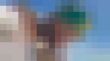 lewis hamilton petitie