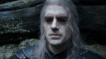 the witcher petitie