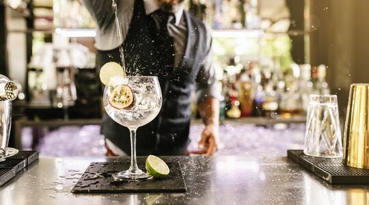 Illustratie voor: Budgetgin van Aldi sleept eerste prijs binnen, voor beste gin ter wereld!