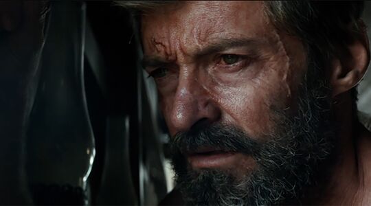 Mannelijkheid fouten