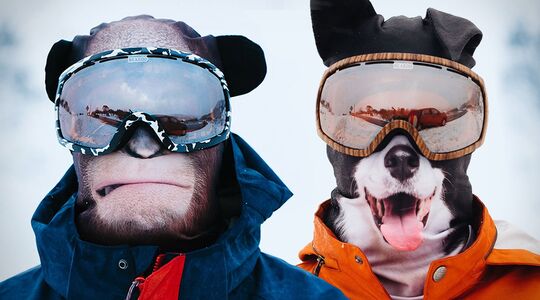Ski masker dieren
