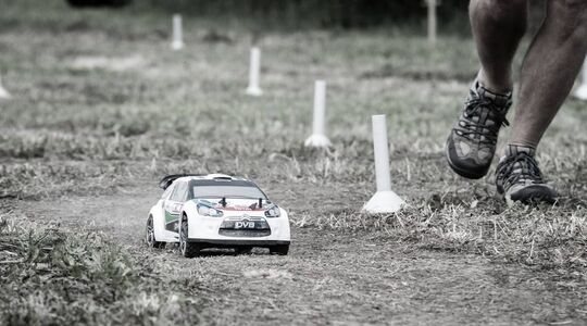 Road Rally Racing Safari Cup