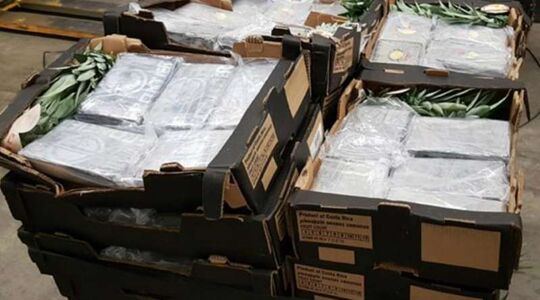 Illustratie voor: Gigantische cocaïne vangst in tientallen ananasdozen te Zuid-Holland