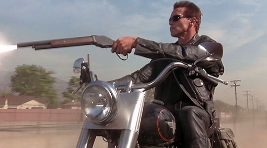 Harley Davidson Fat Boy Veiling