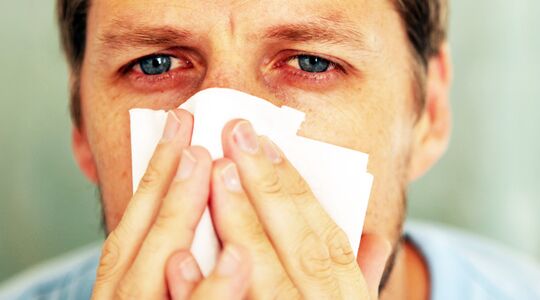 Hooikoorts Gember Honing