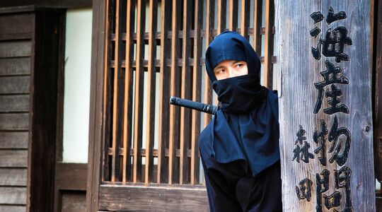 Ninja Iga Japan Salaris