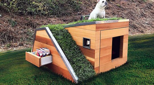 Honden droomhuis gewoonvoorhem