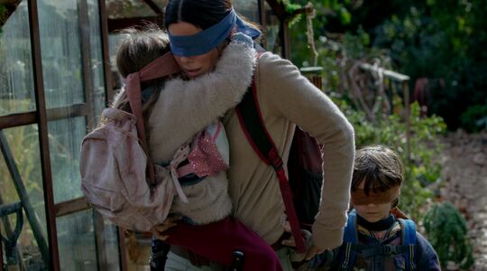 Bird Box Netflix Sandra Bullock
