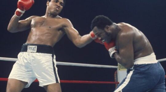 Thrilla in Manila gewoonvoorhem champ
