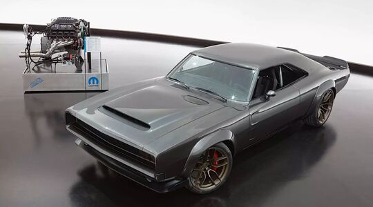 Hellephant gewoonvoorhem 6