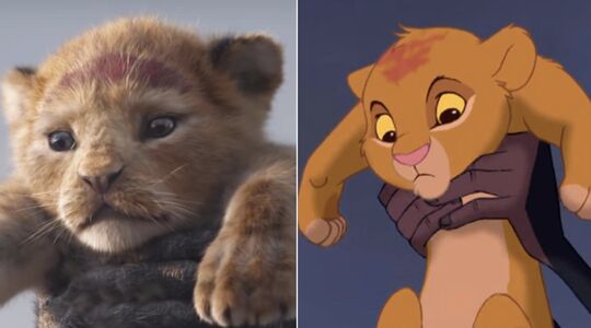 The Lion King Gewoonvoorhem