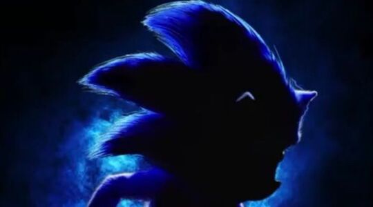 Sonic the Hedgehog gewoonvoorhem 1