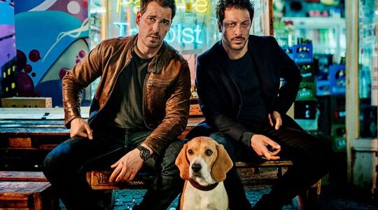 dogs of berlin gewoonvoorhem