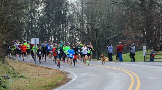 Viervoeter hond rent per ongeluk halve-marathon Gewoonvoorhem