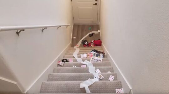 Reversevideo Mr. Reverse Gewoonvoorhem