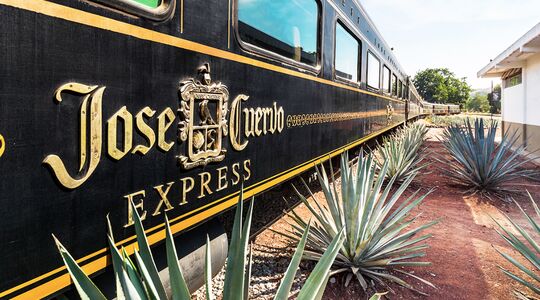 Onbeperkt Tequila Drinken Gewoonvoorhem