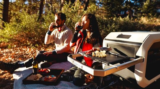 Mobiele Multifunctionele Koeler Gewoonvoorhem