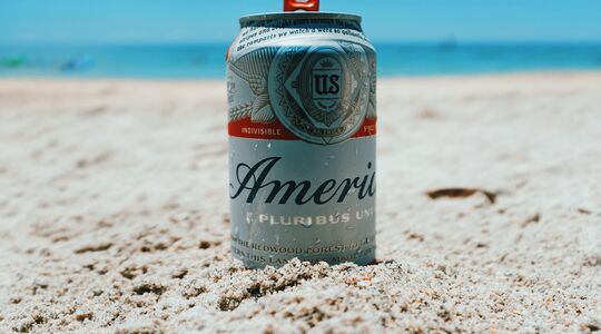 Dronken in Amerika Gewoonvoorhem