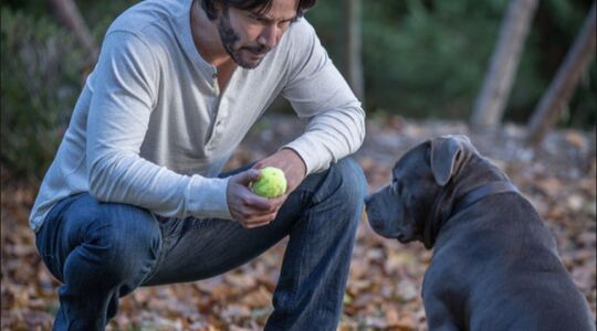 John Wick Dierenvriend
