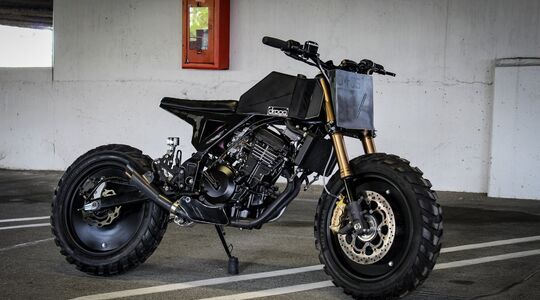 Kawasaki Ninja 250 Droog Moto DM-15