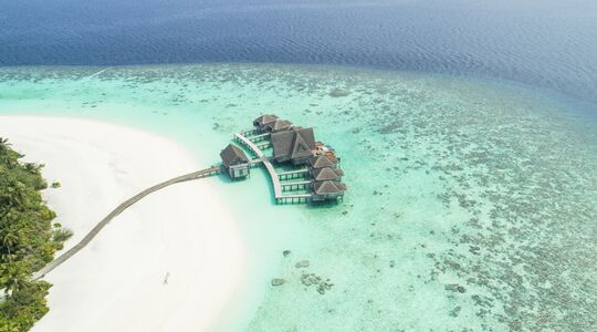 6 maanden naar de Malediven