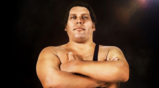 André the giant