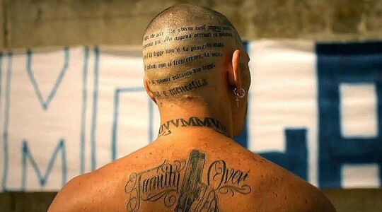 Illustratie voor: Netflix-serie ‘Ultras’ toont de keiharde realiteit van voetbal-hooligans 