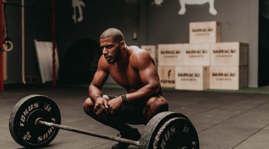 alternatieven voor eiwitpoeder