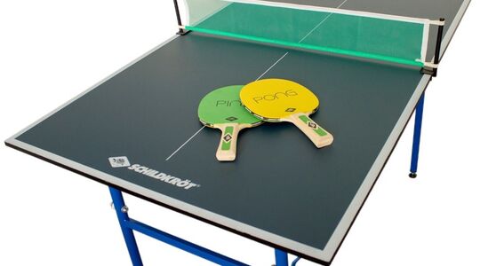 pingpongtafel