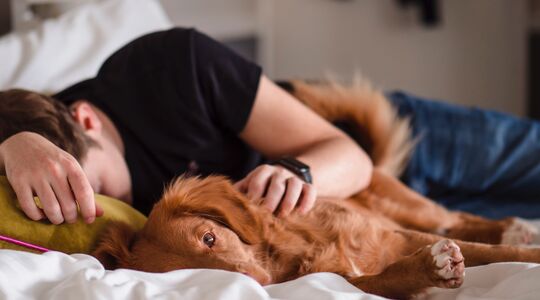 hoofdkussen vervangen