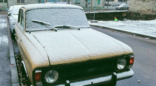 tip tegen ruiten krabben