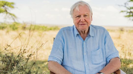 David Attenborough