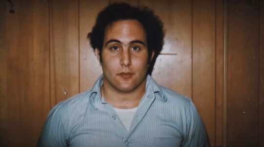 Sons of Sam nieuw op Netflix